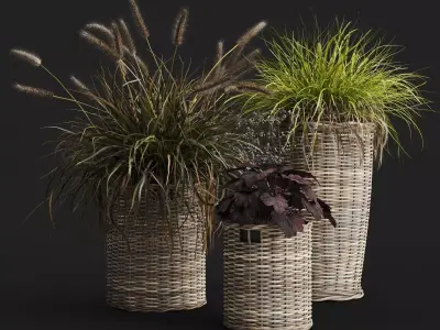 Decorative Grasses in Wicker Baskets 3D model