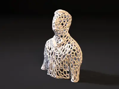 Torso Voronoi 3D print model