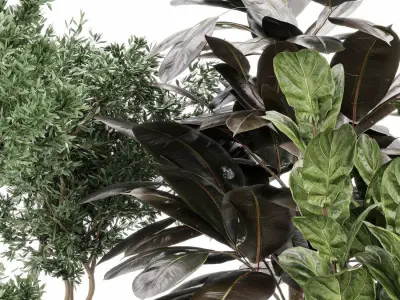 indoor plant set with plant tree concrete dirt vase  3D model
