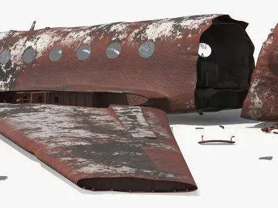  Rusty Business Jet Wreckage Crashed 