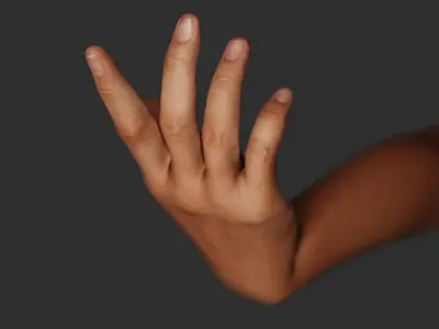  Female Right Hand Rigged 