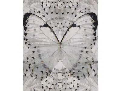 Glasswings rug 3D model