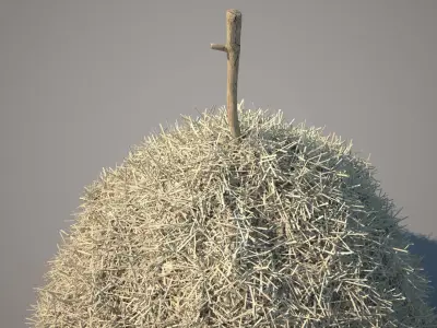 Hay Stack 2 3D model
