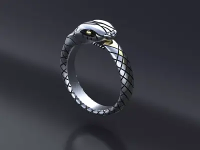 Uroboros Ring CNC model  or  3D print model