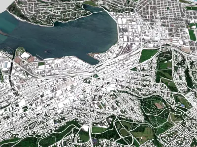 Cityscape Dunedin South Island of New Zealand 3D model