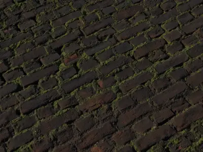Mossy Old Brick Pavement PBR Texture  Texture