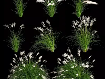 Ornamental Bushes For Landscape Design 1131 3D model