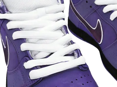 Concepts x Nike Air Jordan 1 low SB Dunk Low Pro OG QS Purple 3D model