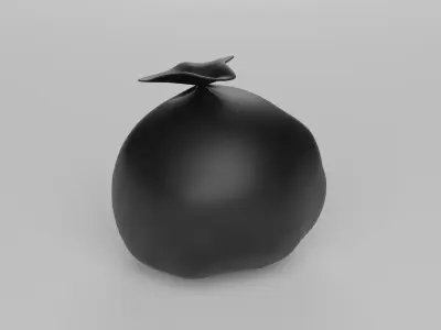Thrash Bag 3D model