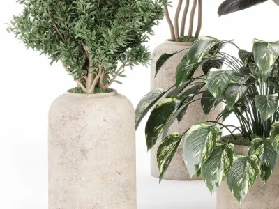 indoor plant set with plant tree concrete dirt vase  3D model