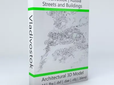 Vladivostok Streets and Buildings 3D model