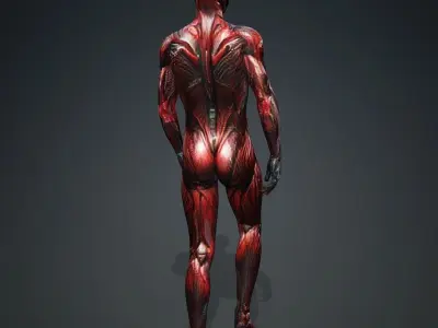 Crysis Nanosuit Avatar 3D model
