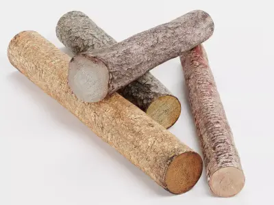 Tree Log Set V6 - Pile of 4 Cut Timber Logs Low-poly 3D model