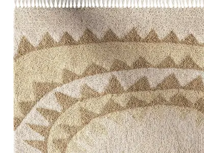 Sun Tufted Rug 3D model