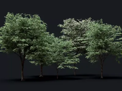 Tree Pack  Low-poly 3D model