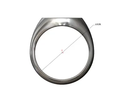 Round signet ring with gothic ornament N03 3D print model