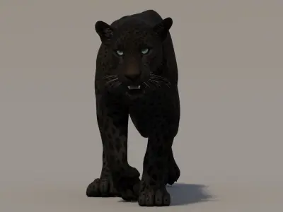  Animated Black Panther 3D Model 