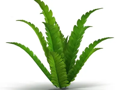 Fern bush Low-poly 3D model