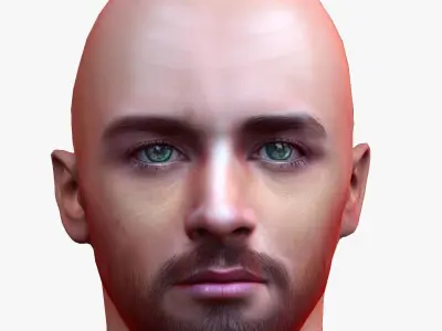 Male head Realistic Perfect Head Low-poly 3D model game ready Low-poly 3D model