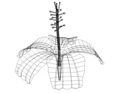 Flower - Hibiscus 3D model