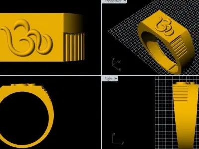 om ring 3dm file 3D print model