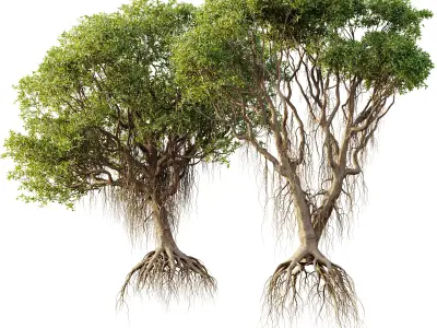 AV 30 unique tree sets with 100 different trees species 3D Model Pack