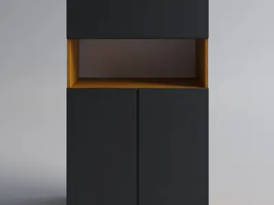 Wood furniture with matt doors concept 3D Model Pack