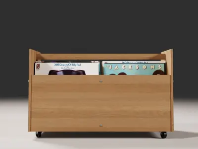 Vinyl Storage No51 3D model