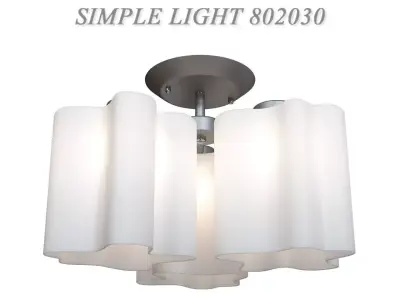 Ceiling chandelier SIMPLE LIGHT 802030 3D model