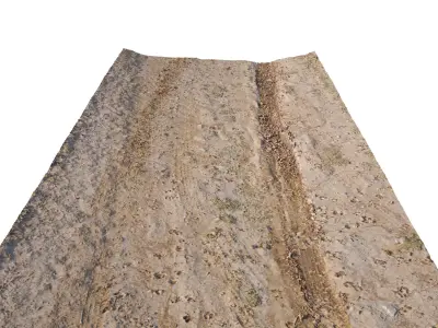 Dirt Road 3D Scan Low-poly 3D model