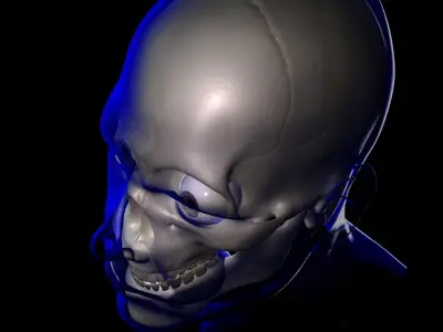 X-Ray Male Face Unrigged 3D model