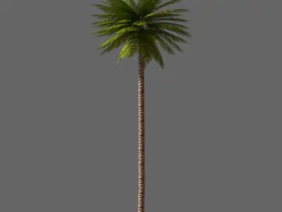 Date Palm 01 Game Ready Low-poly 3D model