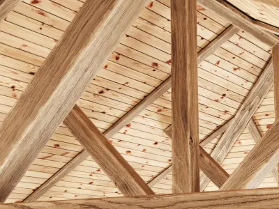 Wooden Ceiling V9  3D model