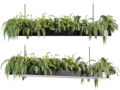 Indoorplants-Hanging plant With light-set33 3D model