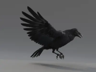  Raven Animated 