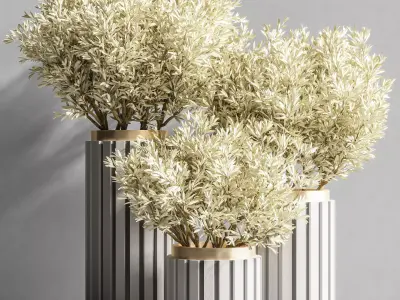 Indoor Plant Set 83 3D model