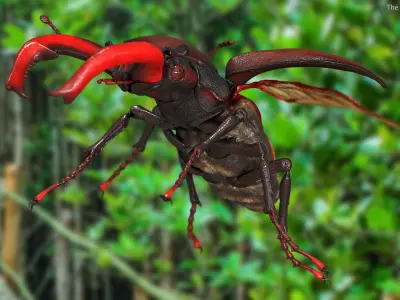  Flying Insects Rigged Collection 5 for Maya 