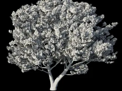 Tree Pinus 3D model