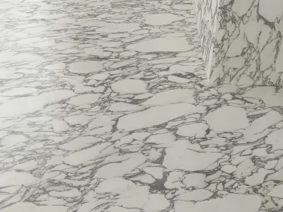 Marble 23 Texture