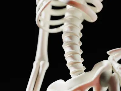  Stylized Cartoon Skeleton - Rigged for Maya 