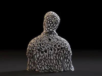 Torso Voronoi 3D print model