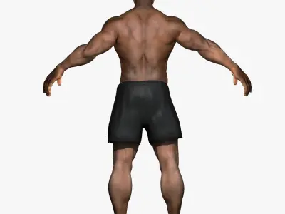 White and African American Male Full Body Collection 3D model
