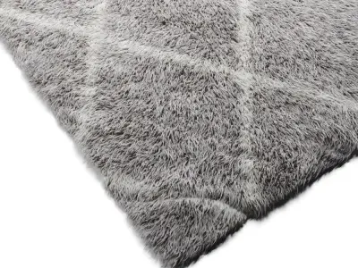 Rug Shaggy 200-150 3D model