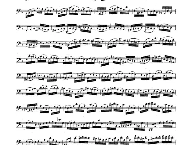 Cello Set 3D Model  Realistic Classical Interior Scene 3D model