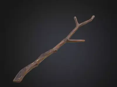 Realistic Branch Texture