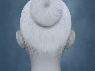 Updo Hair DAZ Studio Low-poly 3D model