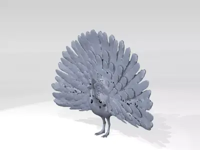 Peafowl Voronoi 3D model