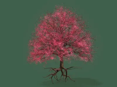 Cherry Tree  3D model