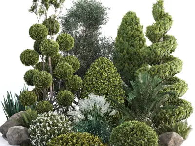 Group outdoor plants  Hedges 2 3D model