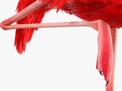  Standing Flamingo Bird on One Leg Red 